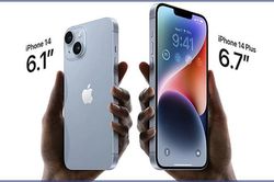 Người dùng 'thờ ơ' với iPhone 14 Plus, kế hoạch của Apple thất bại?