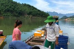 Mưu sinh trên hồ Hòa Bình, bài 2: Săn loài cá lạ