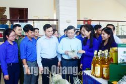 Chủ tịch UBND tỉnh đối thoại với thanh niên