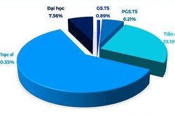 Tỷ lệ giảng viên đại học có chức danh giáo sư ở Việt Nam chỉ đạt 0,89%