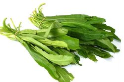 Loại rau quen thuộc trong vườn giúp hạ mỡ máu, hỗ trợ điều trị sỏi thận