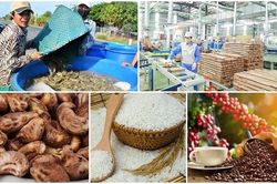 Nhiều thách thức trong xây dựng, bảo hộ nhãn hiệu nông sản Việt