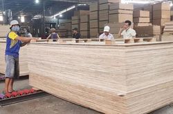Hoa Kỳ gia hạn kết luận điều tra phòng vệ thương mại đối với gỗ dán nhập khẩu từ Việt Nam