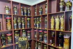 Hà Nội: Thu giữ gần 1.000 lít rượu ngâm các loại động vật, thực vật