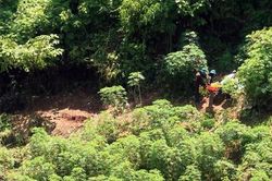 Bộ xương khô trong hang núi giữa đại ngàn và tội ác từ 30 năm về trước (P cuối): Thảm án trên đỉnh núi cao
