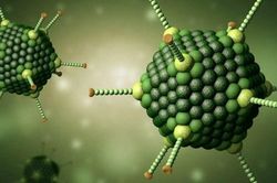 Số ca nhiễm virus Adeno tăng bất thường, 6 trẻ em tử vong