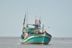 Một tàu cá ở Cà Mau bị phạt hơn 1,3 tỷ đồng, tịch thu tàu