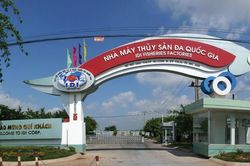 Thủy sản IDI rót vốn vào công ty cao su, chuẩn bị chi 341 tỷ đồng trả cổ tức