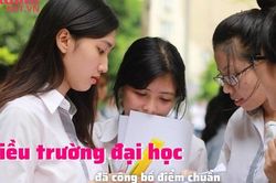 Nhiều trường đại học đã công bố điểm chuẩn