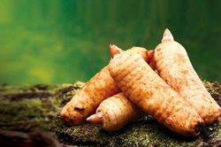 Hai bài thuốc trị tăng huyết áp