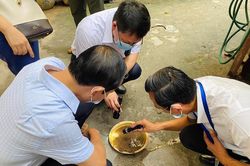 Phát hiện 171 ca sốt xuất huyết, Bắc Từ Liêm siết chặt biện pháp phòng dịch