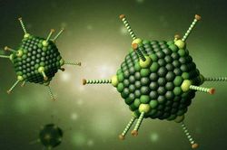 Cha mẹ cần làm gì để giúp con phòng virus Adeno?