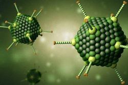 Gia tăng trẻ mắc Adenovirus, cha mẹ cần làm gì để bảo vệ trẻ?