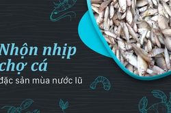 Nhộn nhịp chợ cá đặc sản mùa nước lũ