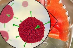 Thực hư virus Adeno khiến 6 trẻ tử vong nguy hiểm như thế nào? Chuyên gia khuyến cáo 'mọi người cần bình tĩnh!'