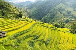 Mê mẩn ngắm tuyệt tác của núi rừng Tây Bắc
