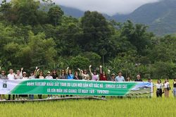 Đề xuất giải pháp phát triển tour du lịch mới gắn kết Lào Cai - Hà Giang