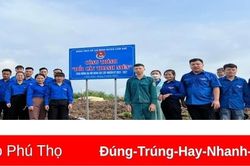 Ra quân 'Ngày chủ nhật xanh'