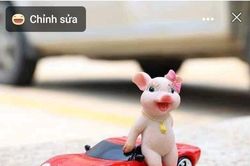 Đi chợ cùng chị em