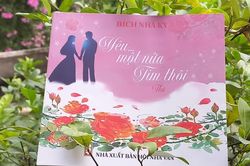 Bích Nhã Kỳ, thế chấp 'nửa trái tim'
