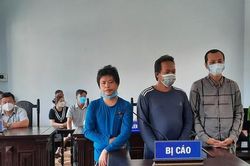 Tuyên phạt 3 bị cáo hủy hoại rừng ở Phú Quốc tổng cộng 5 năm tù