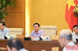 Khắc phục tình trạng 'quân xanh, quân đỏ' trong đấu thầu