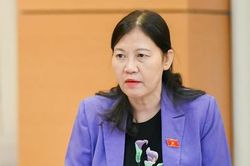 'Quân xanh, quân đỏ', tham nhũng, tiêu cực trong đấu thầu: Do luật hay do đâu?