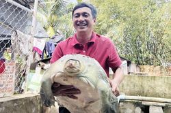 'Báu vật' trong bể xi măng sau nhà tỷ phú miền Tây
