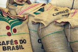 Dự trữ cà phê của Brazil thấp kỷ lục