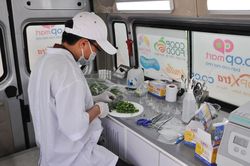 Hệ thống siêu thị Co.opmart nói không với rau củ VietGAP 'dỏm'