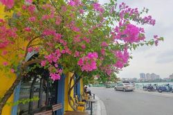 Lan man chuyện cái tên