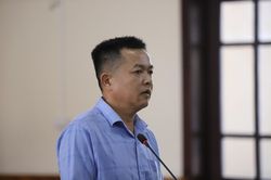 Người đàn ông giấu ma túy trong quả dứa bị phạt hơn 16 năm tù
