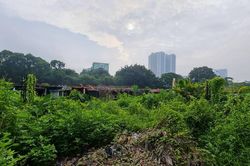Xót xa loạt lô đất 'hoang tàn' của Tổng công ty HUD