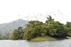 Lãng mạn mùa thu ở hồ Trúc Bài Sơn