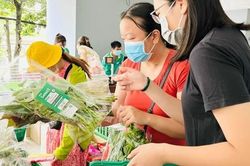 Khách hàng chọn mua rau củ ở các cửa hàng thực phẩm Co.op Food