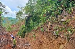 Chi cục trưởng Kiểm lâm Quảng Trị bị cách tất cả các chức vụ trong Đảng
