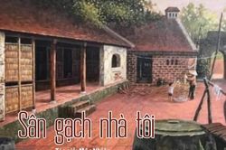 Tản văn hay: Sân gạch nhà tôi