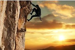 Phú ông cho người nghèo một con bò, câu chuyện sau đó khiến nhiều người phải suy ngẫm