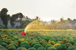 Giữ nguyên tên gọi 'Luật Hợp tác xã' sẽ bao quát được phạm vi điều chỉnh với các tổ chức kinh tế tập thể