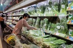Biến 'rau bẩn' thành rau VietGAP, lừa dối khách hàng có thể bị phạt tù tới 5 năm