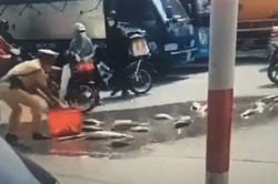 Cảnh sát giao thông giúp người dân nhặt cá bị đổ xuống đường