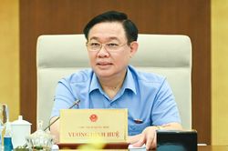 Chủ tịch Quốc hội: Giám sát 'không nên kéo quân ào ạt' tránh gây áp lực ngành y tế