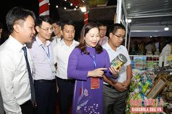 Khai mạc Hội chợ sản phẩm OCOP, đặc sản các vùng miền và văn hóa ẩm thực năm 2022