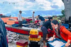 Thừa Thiên Huế sẵn sàng sơ tán gần 100 nghìn dân để tránh bão Noru