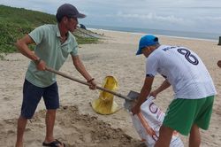 Quảng Nam yêu cầu sơ tán dân trước 9h ngày 27/9 để ứng phó bão Noru