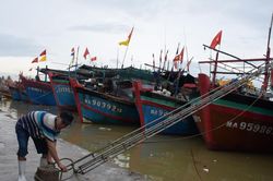 Nghệ An chỉ đạo khẩn trương thu hoạch cây trồng, kêu gọi tàu thuyền vào bờ tránh bão Noru