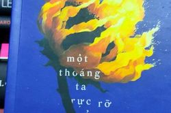 Hãy sống như thể 'Một thoáng ta rực rỡ ở nhân gian'