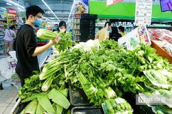 Lỗ hổng quản lý dẫn tới rau chợ 'đội lốt' VietGap vào siêu thị