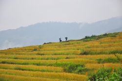 Món quà của mùa thu