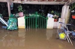 Các tỉnh, thành miền Trung chạy đua ứng phó với bão Noru
